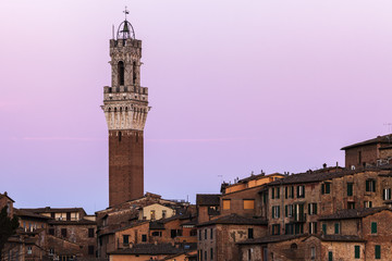 Obraz premium Siena town hall