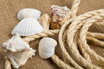 Seashells with rope on brown burlap cloth