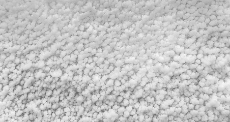 Background of true snow texture.