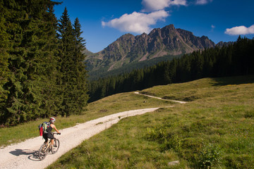 Fototapeta na wymiar Lagorai Mountain. Trentino Alto Adige. Italy, Forest road Coldos