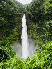 Panele Szklane  Wodospady Akaka to popularna atrakcja na Hawajach.