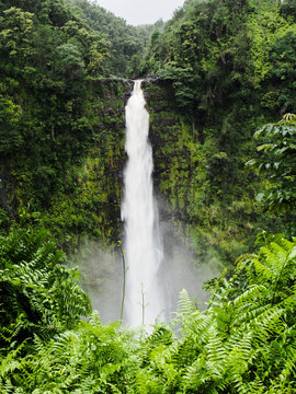 Akaka falls is a popular attraction in Hawaii.