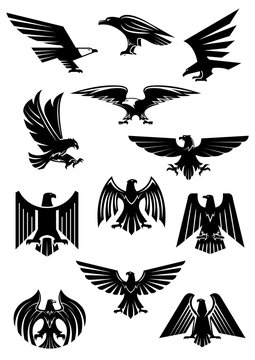 Eagle or falcon, aquila or hawk heraldic badge