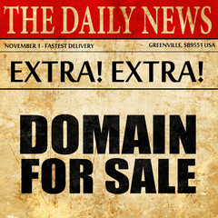 domain for sale, newspaper article text