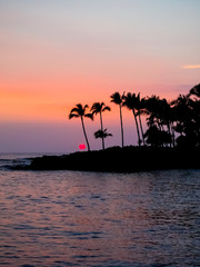 Silhouette of palm trees at sunset on the big island of Hawaii.