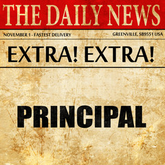 principal, newspaper article text