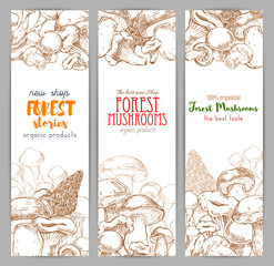 Mushroom sketch for autumn forest banner