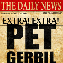 pet gerbil, newspaper article text