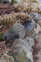 Rock garden border closeup with grass