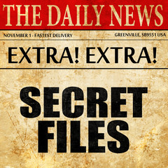 secret files, newspaper article text