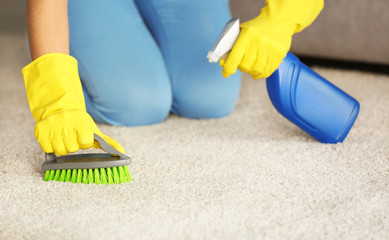 Close up view of woman cleaning carpet at home