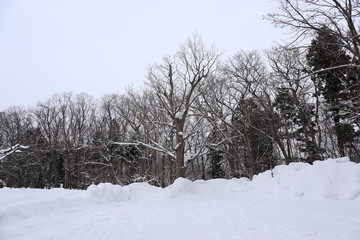 Winter scene of Hokkaido Japan