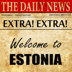 Welcome to estonia, newspaper article text