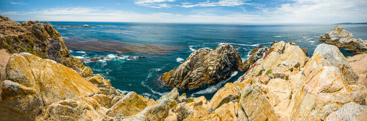 Carmel California.  Point Lobos National Park.  Pinnacle Point panorama. - 135126275
