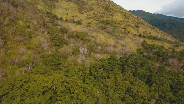 Rainforest covered with green vegetation and trees in the mountains on the tropical island. Aerial view: trees and vegetation on the mountainside.. Hillside rainforest and jungle. Mountains with sky