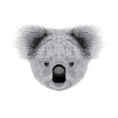 koala vector illustration © Oleg_Yakovlev