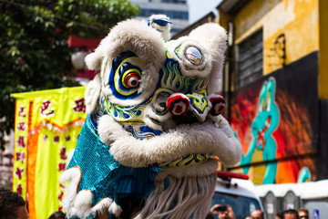 Obraz premium Lion dance w celebracji przybycia chińskiego nowego roku