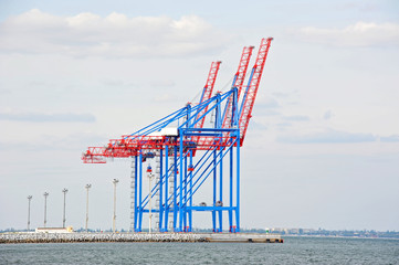 Port cargo crane