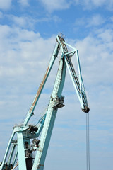 Port cargo crane