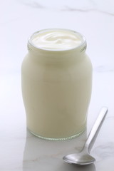 plain french style yogurt