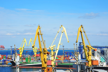 Bulk cargo ship under port crane