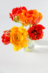 Colorful red and yellow   tulips bouquet in vase on table