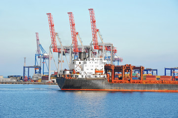 Bulk cargo ship under port crane