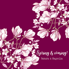 Spring Sakura and Magnolia Background