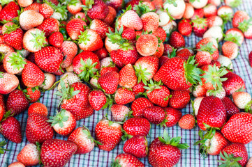 the fresh strawberry on grid background. for healthy