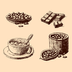Vector cocoa hand drawn sketch illustration.