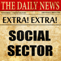 social sector, newspaper article text