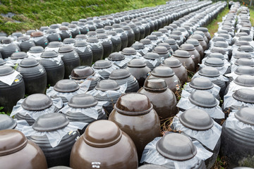 Row of Vinegar Barrel store at outdoor