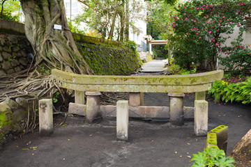 Kurojin buried torii at park