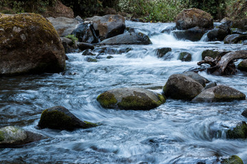 Savegre River, San Gerardo de Dota, Costa Rica