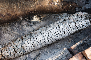 Ash texture buring firewood