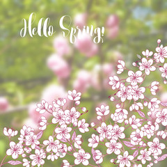 Obraz na płótnie Canvas Spring background with sakura