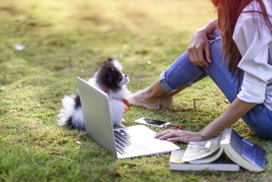 dog looking at girl working laptop on grass field of park in morning
