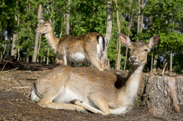 SZCZECIN,POLAND-27 JULY 2016:Modern office building in the eveni