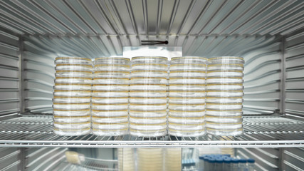 Bacteria cell were incubated on the various plates and tubes in the incubatr