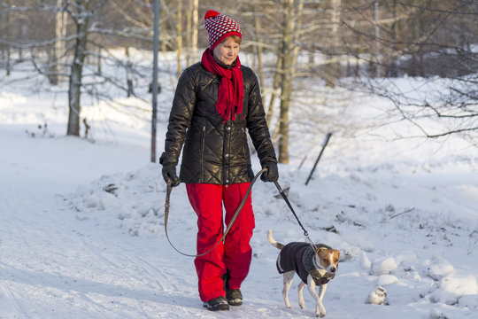 Woman Walking With Dog In Winter Park