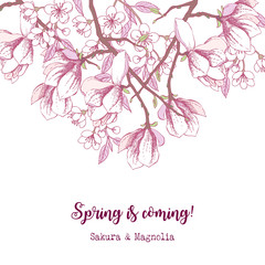 Fototapeta na wymiar Spring Sakura and Magnolia Background