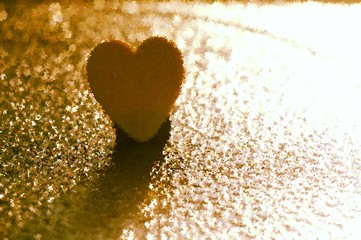 the heart shape wood on the rain drops and the sunlights