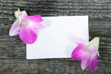 Lilac orchid flowers