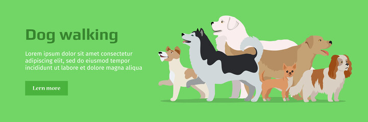 Professional Dog Walking Service Banner.