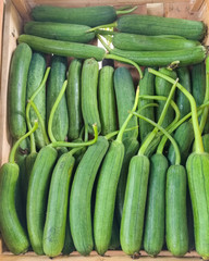 Fresh cucumber on wood box in market