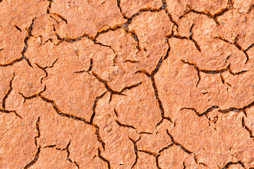 Lecho de arcilla roja, húmeda y agrietada.