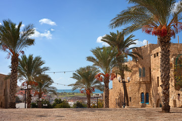 Fototapeta na wymiar View to the Jaffa.