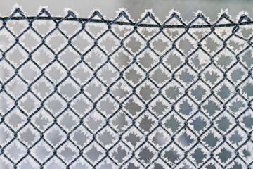 snow-covered fence  with frost