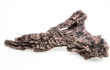 Decorations for aquarium isolated on a white background, aquarium accessories