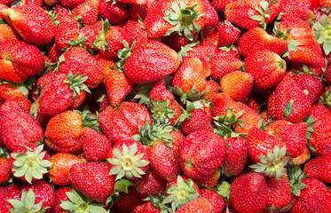 Fresh ripe perfect strawberry - Food Frame Background